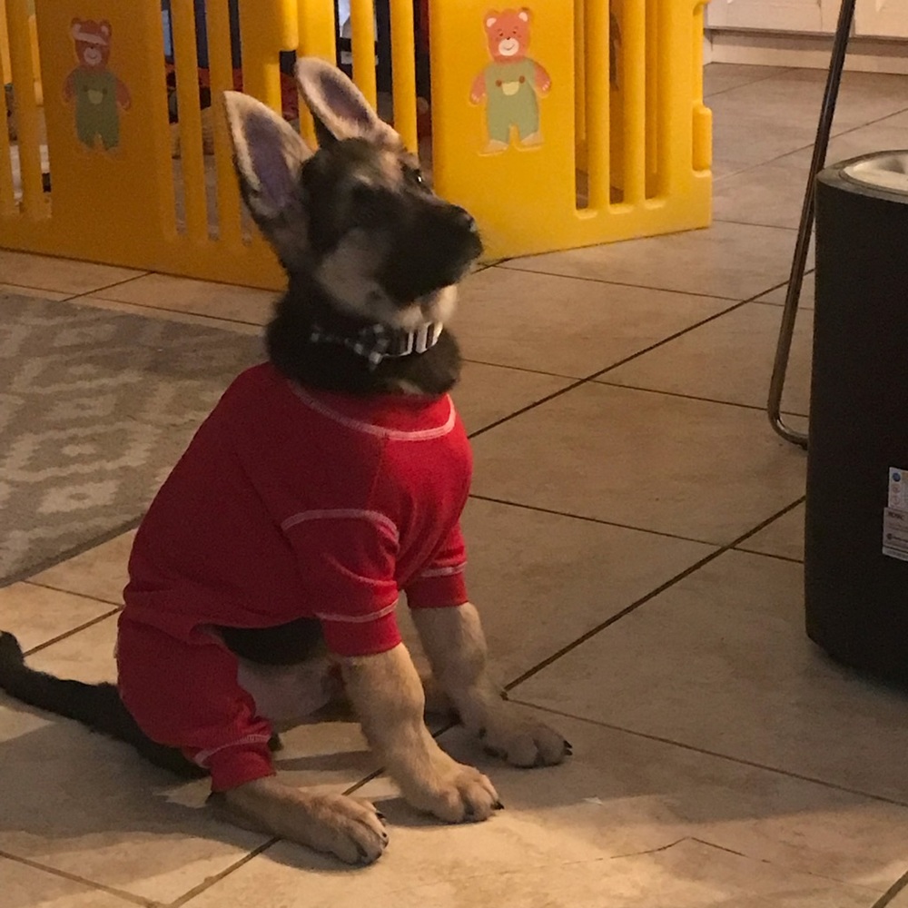 Meet your Posher, Jose